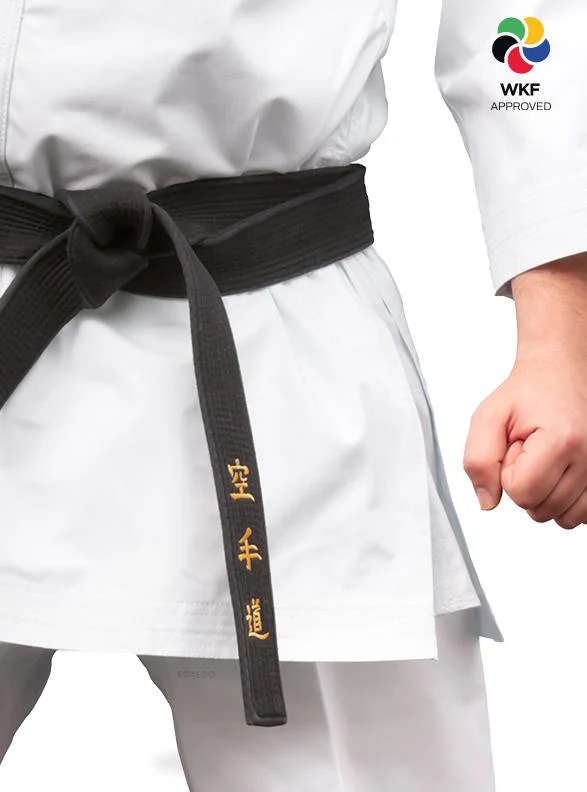 KARATEGI "BUNKAI MASTER" - Image 4